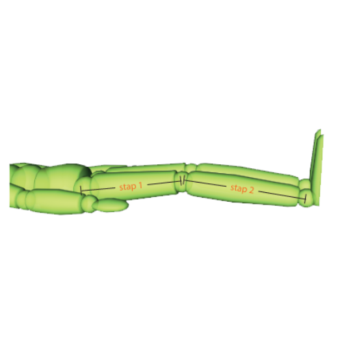 FlexiOr Ligorthese Basic L korrel en schuim 